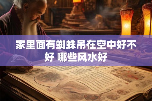家里面有蜘蛛吊在空中好不好 哪些风水好