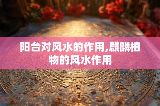阳台对风水的作用,麒麟植物的风水作用