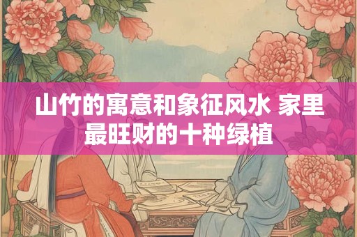 山竹的寓意和象征风水 家里最旺财的十种绿植