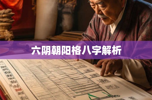 六阴朝阳格八字解析