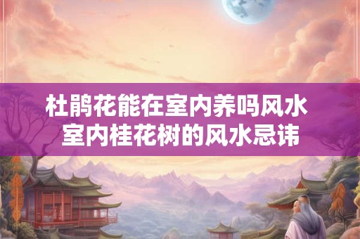杜鹃花能在室内养吗风水 室内桂花树的风水忌讳