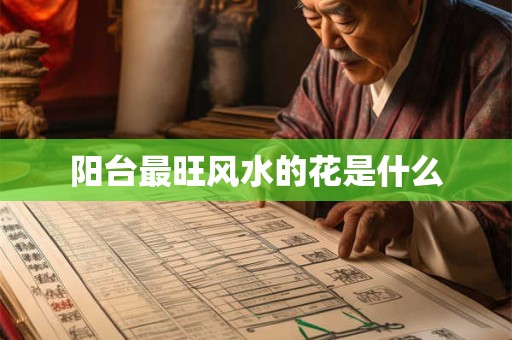 阳台最旺风水的花是什么