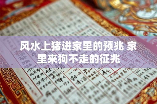 风水上猪进家里的预兆 家里来狗不走的征兆