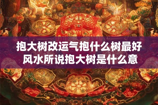 抱大树改运气抱什么树最好 风水所说抱大树是什么意思