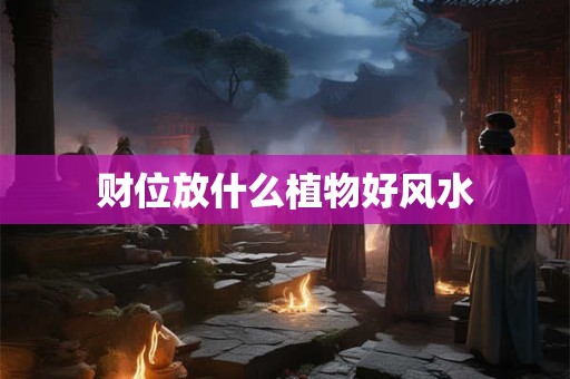 财位放什么植物好风水