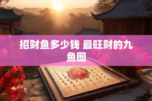 招财鱼多少钱 最旺财的九鱼图