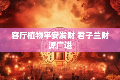 能成功的女人的八字