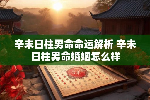 辛未日柱男命命运解析 辛未日柱男命婚姻怎么样