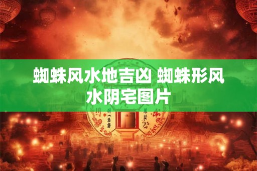 蜘蛛风水地吉凶 蜘蛛形风水阴宅图片