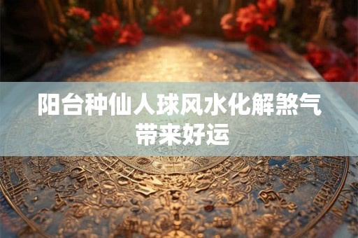 阳台种仙人球风水化解煞气 带来好运