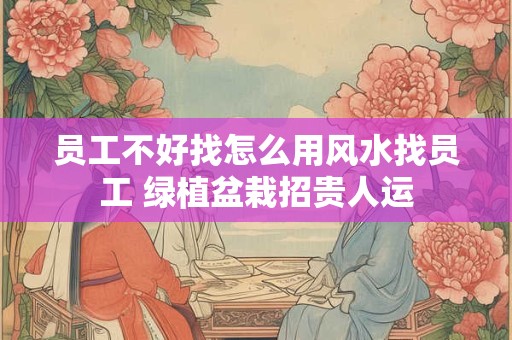 员工不好找怎么用风水找员工 绿植盆栽招贵人运 员工不好找怎么用风水找员工 绿植盆栽招贵人运