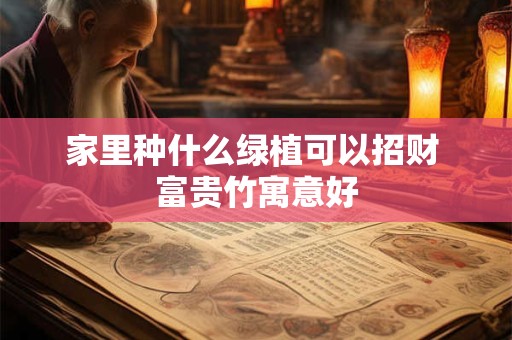 家里种什么绿植可以招财 富贵竹寓意好