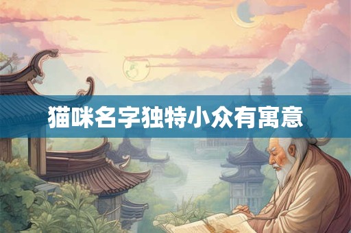 猫咪名字独特小众有寓意