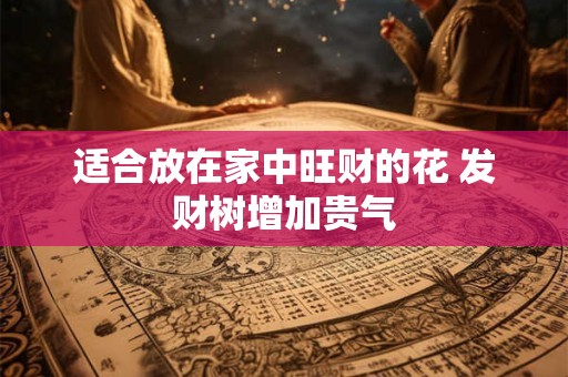 适合放在家中旺财的花 发财树增加贵气