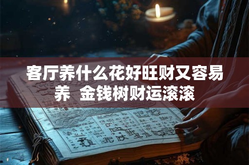 客厅养什么花好旺财又容易养  金钱树财运滚滚