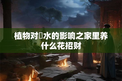植物对風水的影响之家里养什么花招财