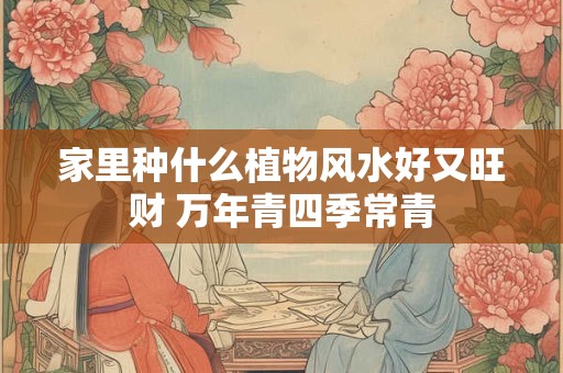家里种什么植物风水好又旺财 万年青四季常青