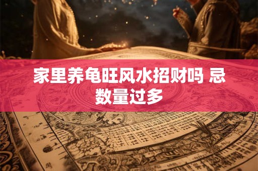 家里养龟旺风水招财吗 忌数量过多