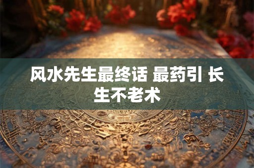 风水先生最终话 最药引 长生不老术