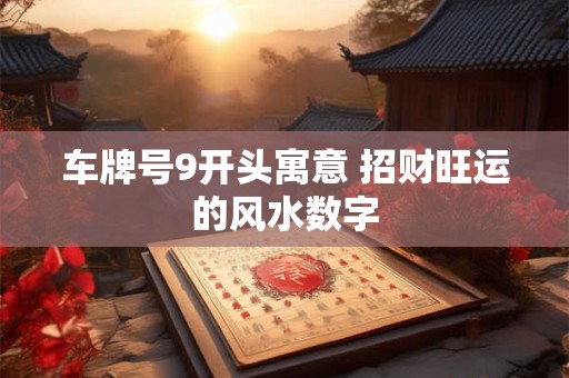 车牌号9开头寓意 招财旺运的风水数字