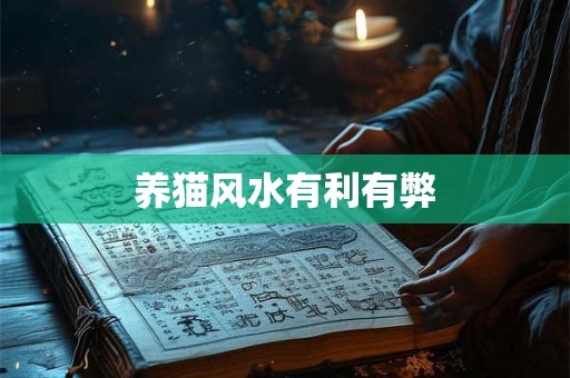 养猫风水有利有弊