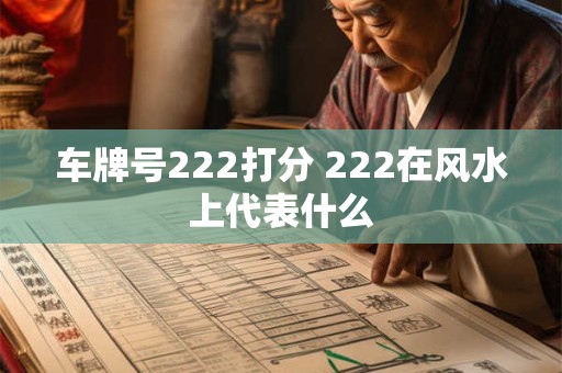 车牌号222打分 222在风水上代表什么