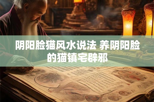 阴阳脸猫风水说法 养阴阳脸的猫镇宅辟邪