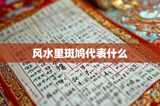 风水里斑鸠代表什么