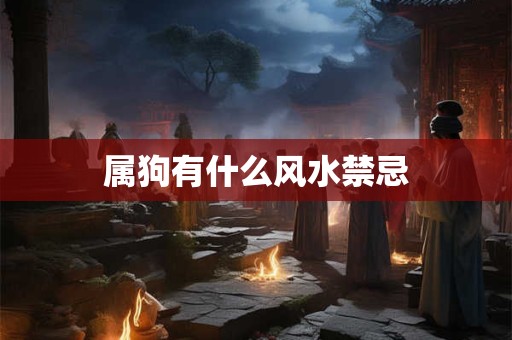 属狗有什么风水禁忌