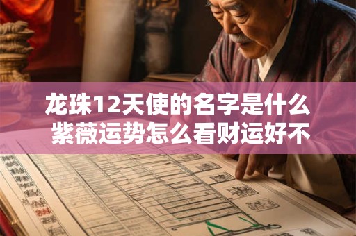 龙珠12天使的名字是什么 紫薇运势怎么看财运好不好呢女人