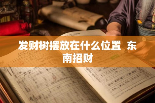 发财树摆放在什么位置  东南招财