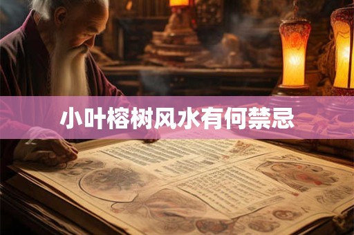 小叶榕树风水有何禁忌