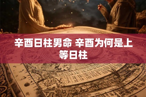 辛酉日柱男命 辛酉为何是上等日柱
