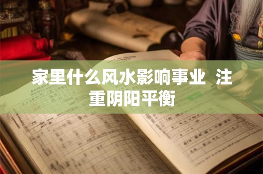 家里什么风水影响事业  注重阴阳平衡
