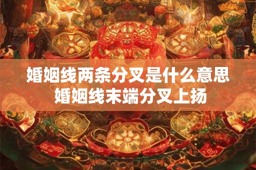 婚姻线两条分叉是什么意思 婚姻线末端分叉上扬