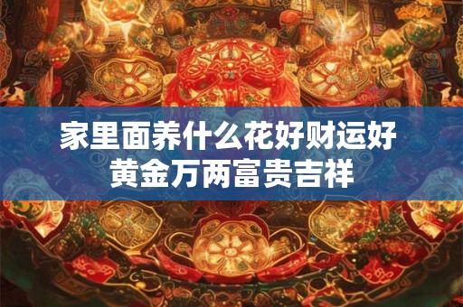 家里面养什么花好财运好 黄金万两富贵吉祥