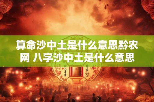 算命沙中土是什么意思黔农网 八字沙中土是什么意思