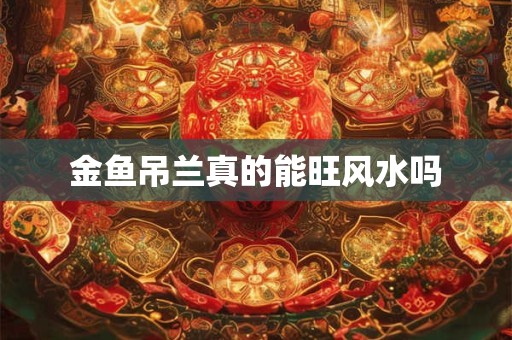 金鱼吊兰真的能旺风水吗