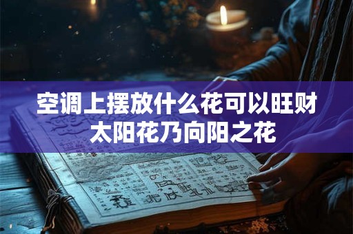 空调上摆放什么花可以旺财  太阳花乃向阳之花