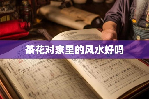 茶花对家里的风水好吗