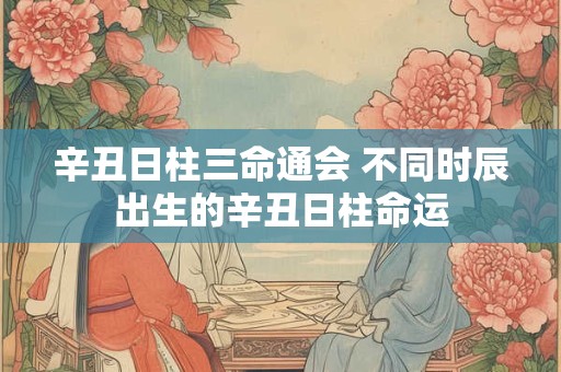 辛丑日柱三命通会 不同时辰出生的辛丑日柱命运