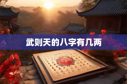武则天的八字有几两