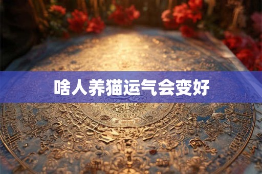 啥人养猫运气会变好