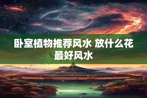 卧室植物推荐风水 放什么花最好风水