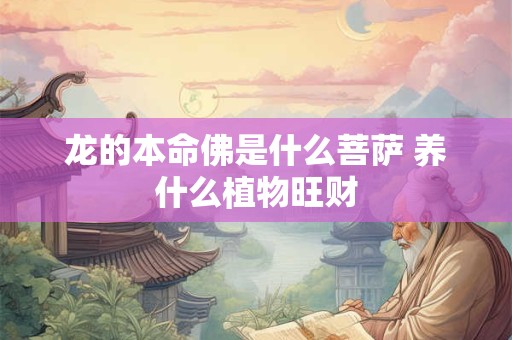 龙的本命佛是什么菩萨 养什么植物旺财