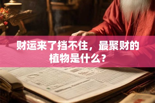 财运来了挡不住，最聚财的植物是什么？