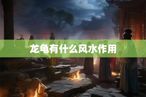 龙龟有什么风水作用