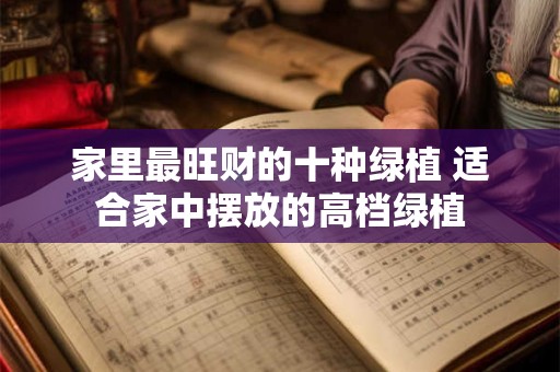 家里最旺财的十种绿植 适合家中摆放的高档绿植