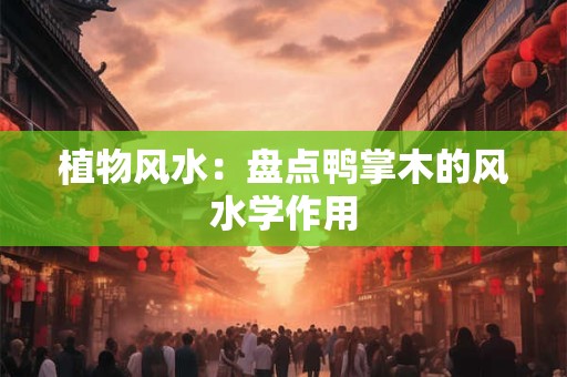 植物风水：盘点鸭掌木的风水学作用