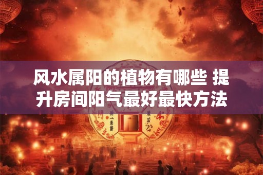 山东理工大学风水局 山东哪个大学有风水学